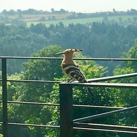 La Reine Des Pres * Chomelix